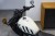 Motocykl CFMoto 450CL-C Bobber | Ivory White