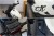 Motocykl CFMoto 450CL-C Bobber | Ivory White