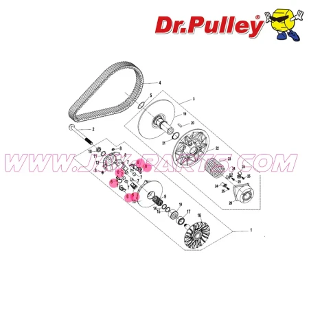 DrPulley-PU-01.webp