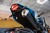 Motocykl CFMoto 125NK | Zephyr Blue | Wyprzedaż rocznika
