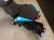Motocykl CFMoto 125NK | Zephyr Blue | Wyprzedaż rocznika