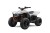 Quad CFMoto Cforce EV 110 | Electric Promo